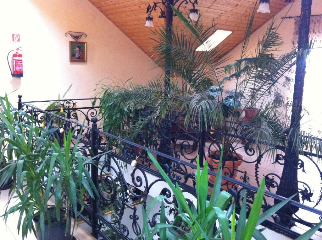 Sarokhaz Panzio Bed and Breakfast Vecsés Εξωτερικό φωτογραφία